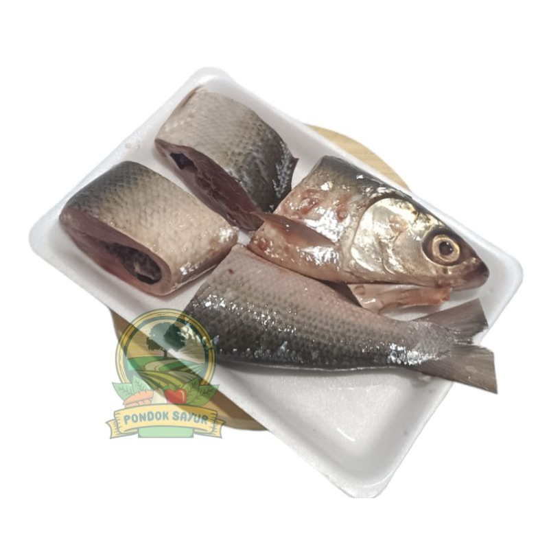 

Bandeng Segar 500Gr