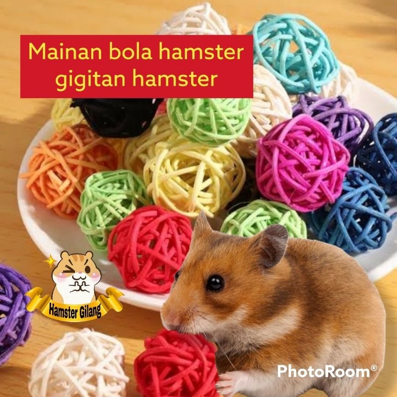 bola rotan hamster/ mainan hamster