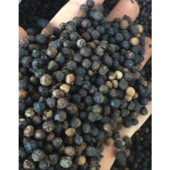 

Lada hitam/ Merica hitam biji 500gr kualitas Reguler