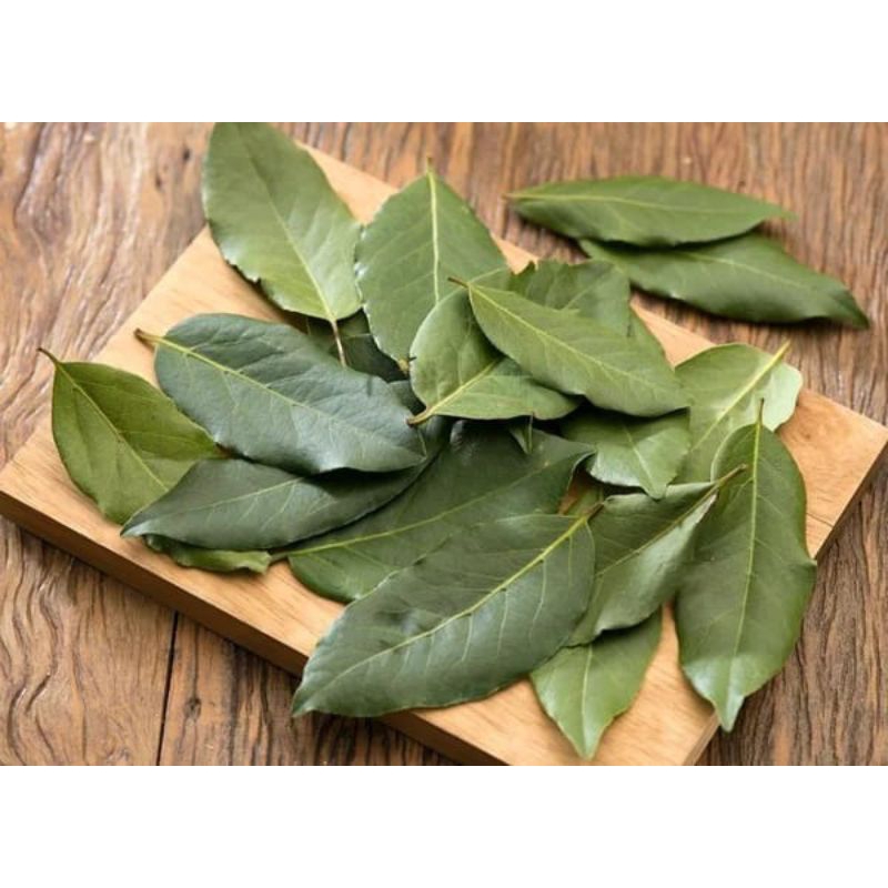 

Daun Salam Segar Daun Sayuran Salam 100 gr Langsung petik pohon