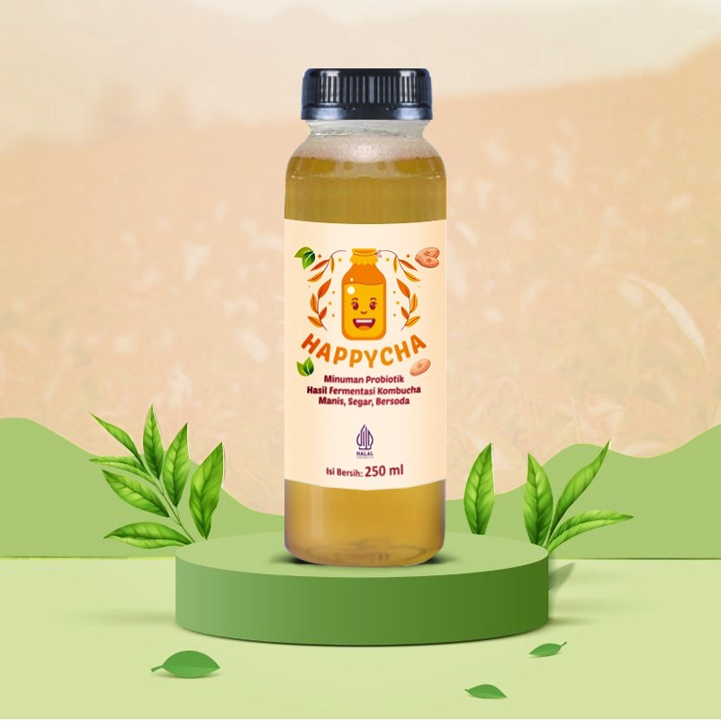 

Kombucha Original Happycha 250ml