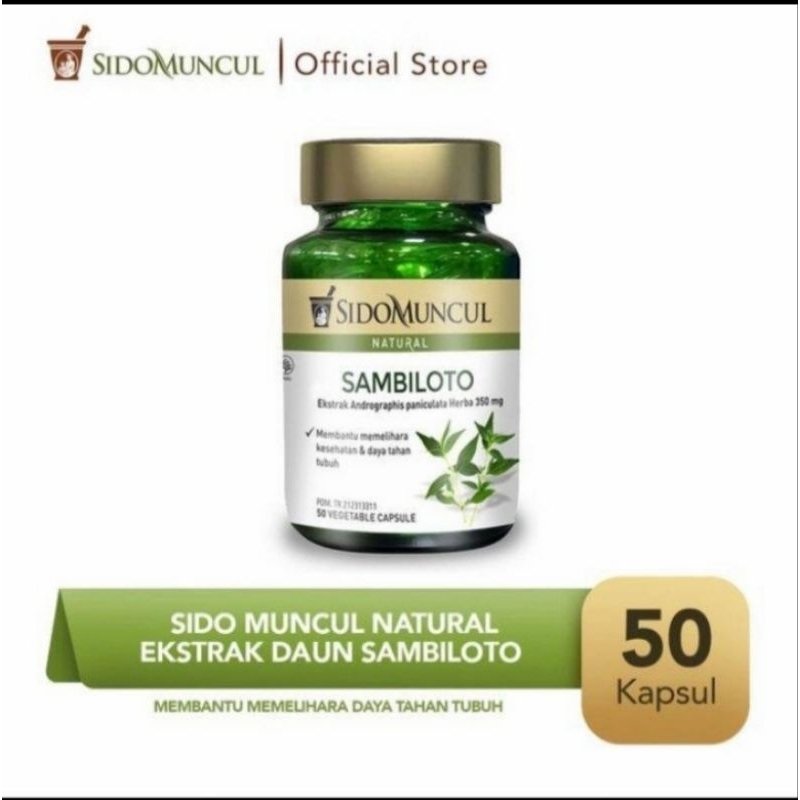 Sido muncul natural sambiloto