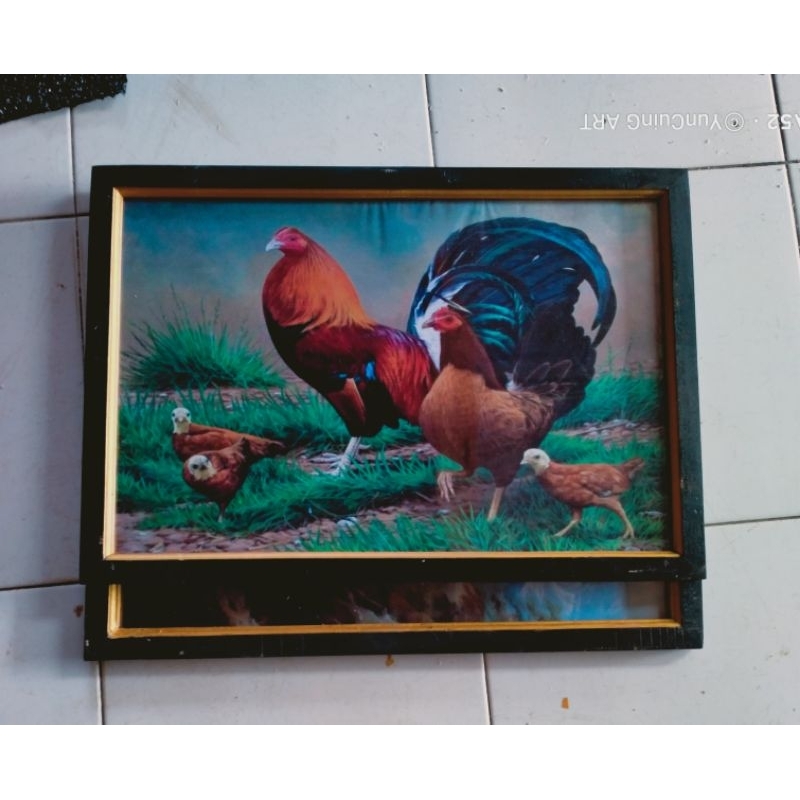 hiasan dinding lukisan cetak ayam kampung jago plus figura ukuran 65*45