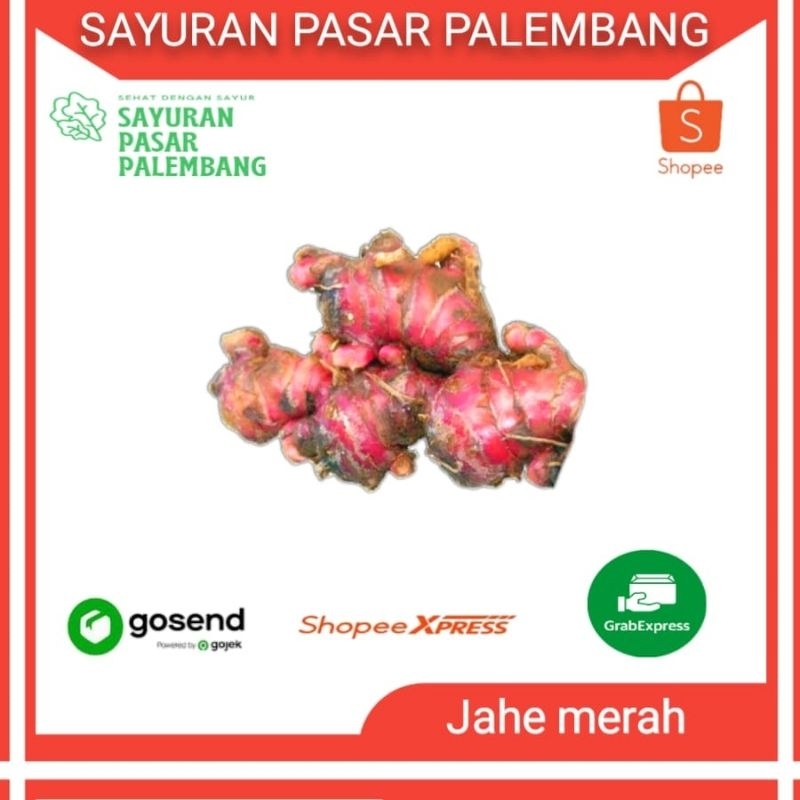 

Jahe Merah 500 Gram - Sayuran Pasar Palembang