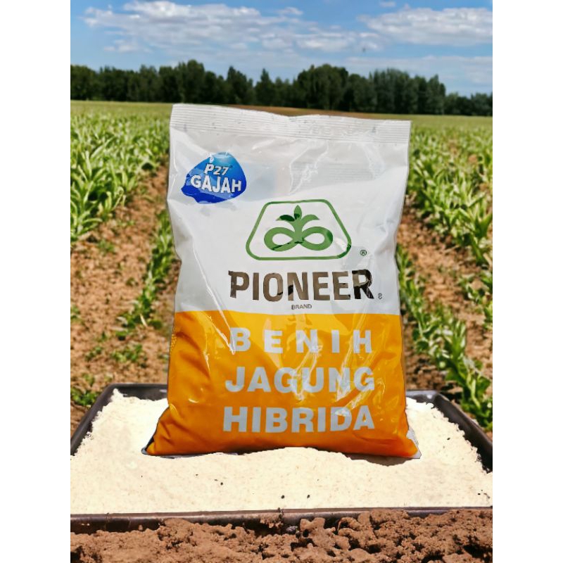 Benih Jagung Pioneer hibrida p27 gajah 1KG