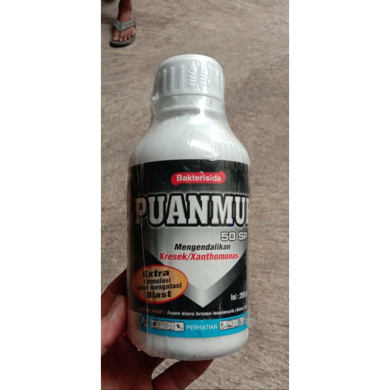 PUANMUR 50 SP 250 GR✓VERTIBAK✓Fungisida dan Bakterisida
