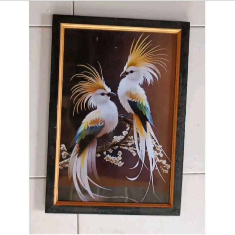 hiasan dinding lukisan cetak burung cendrawasih plus bingkai ukuran 53×35