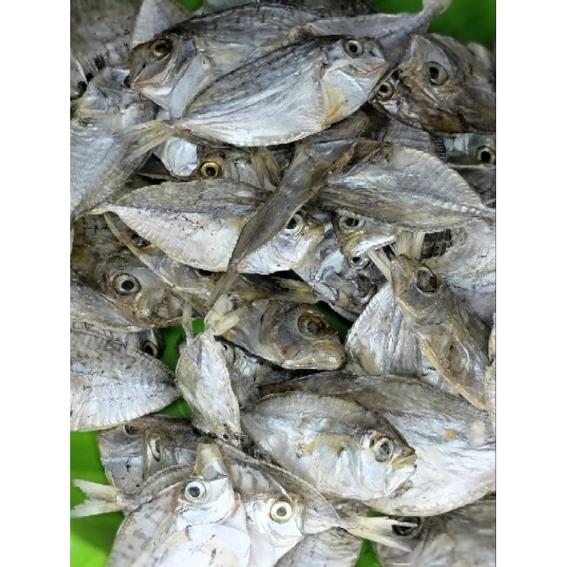 

ikan asin