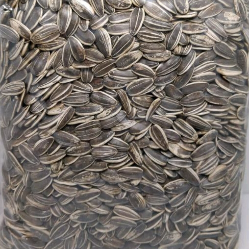 

Terlaku. KWACI BIJI BUNGA MATAHARI KULIT 1 KG Super Promo