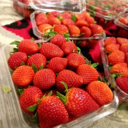 

strawberry fresh ciwidey (500g)