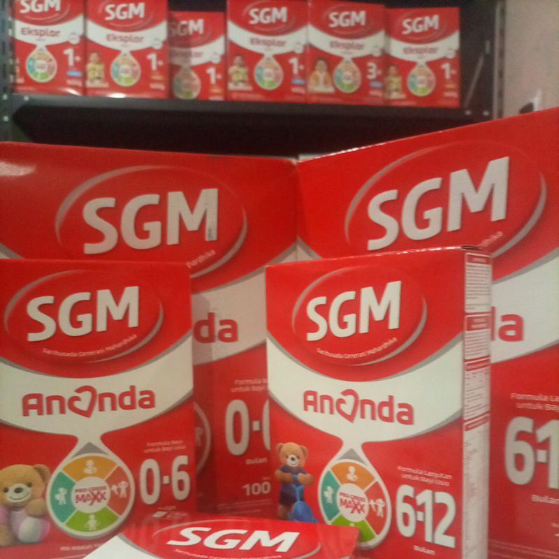 

SGM Ananda 120gr 0-6 | 6-12 bulan EXP 2026