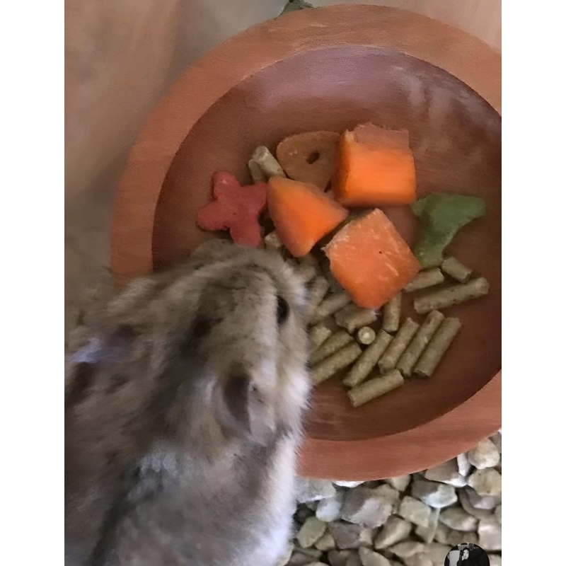 MANGKOK MAKAN KAYU MINI HAMSTER