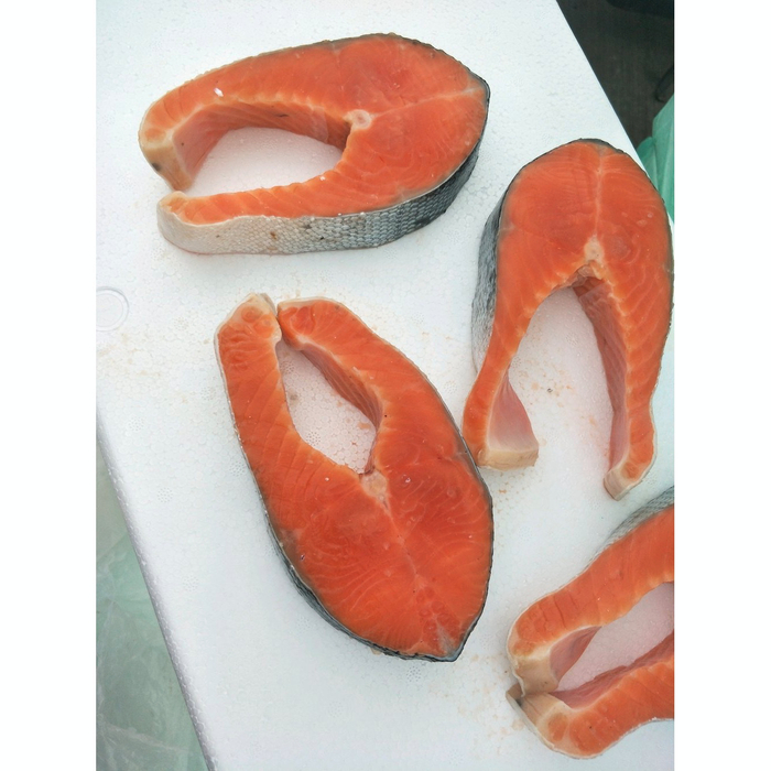 

Ikan salmon steak frozen kemasan 500 gram