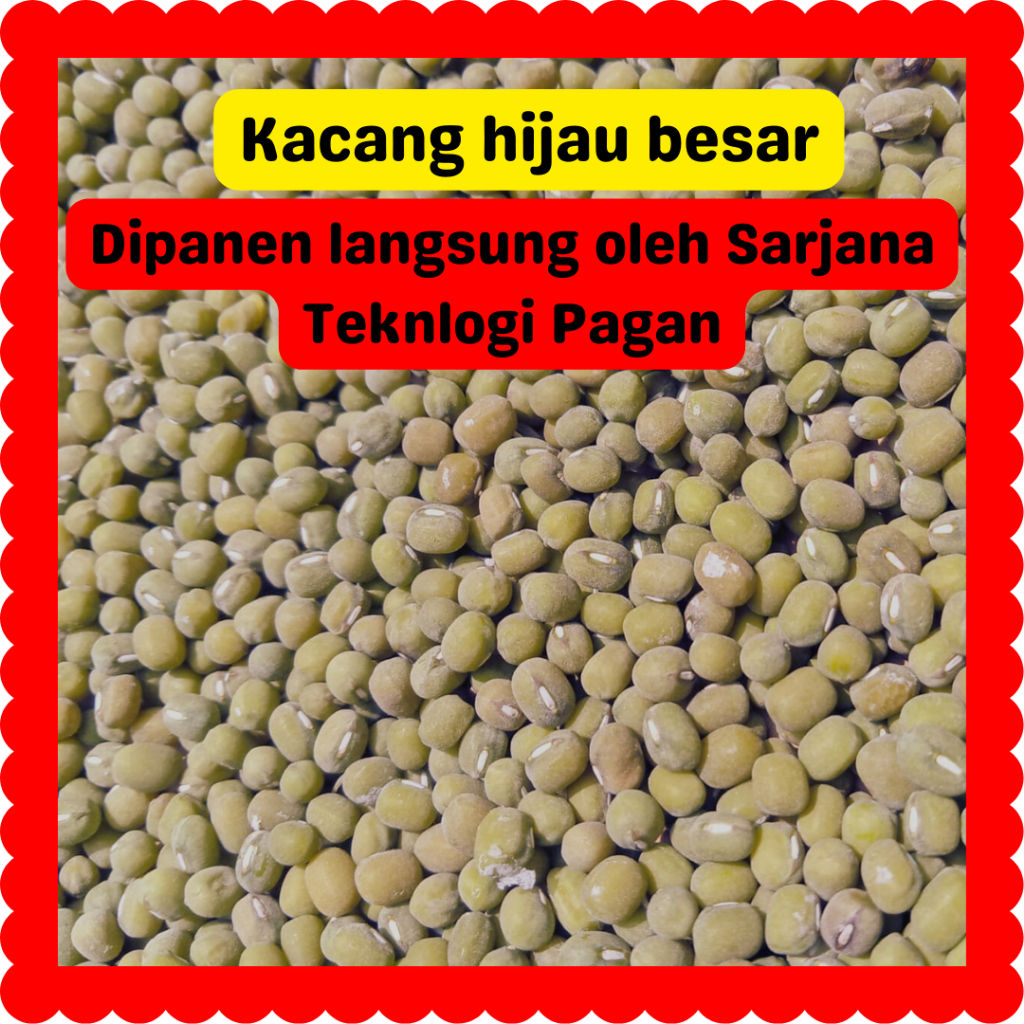 

Kacang Hijau Ijo Besar Gede Lokal