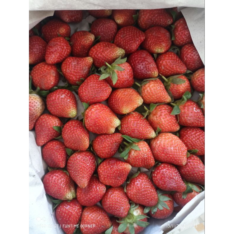 

strawberry