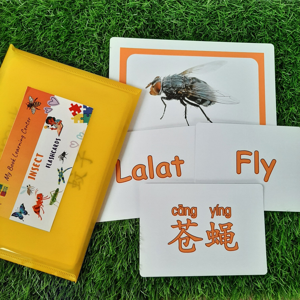 Kartu Mainan Edukasi Anak SIZE JUMBO Tema Serangga // Insects 3 Bahasa untuk anak umur 1-6 tahun