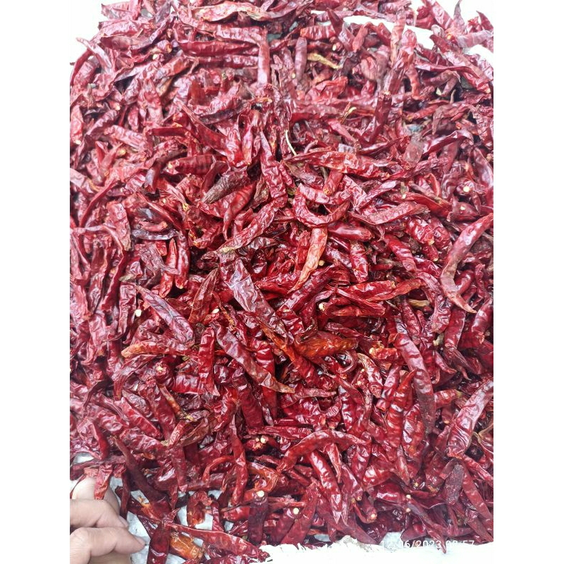 

(1KG) packing CABE CAPLAK RAWIT KERING TANPA TANGKAI SUPER PEDAS