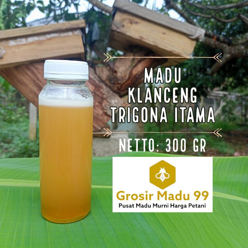 

Madu Asli Murni Klanceng Trigona Itama 300 gr / 250ml