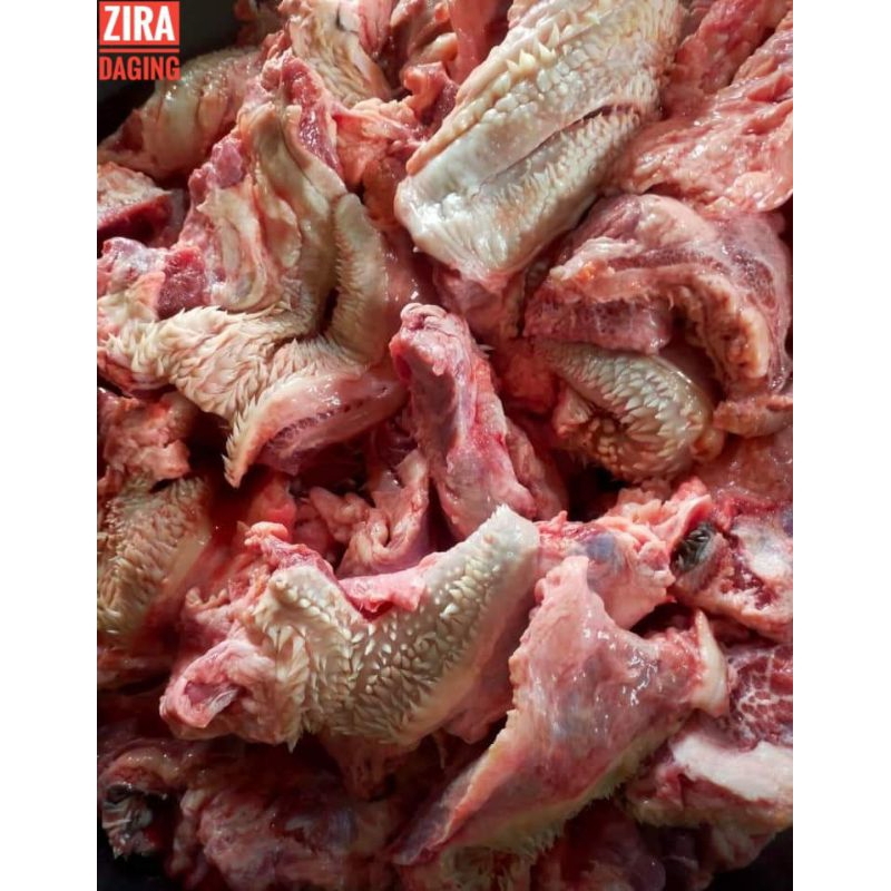 

Daging Kepala Sapi ( LIPS / CINGUR ) 1 kg