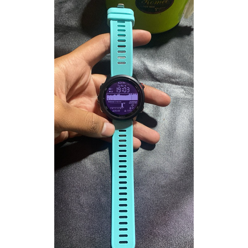 Garmin Forerunner 245