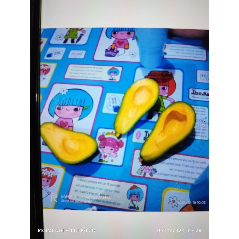 

alpukat mentega 2 3buah 1kg