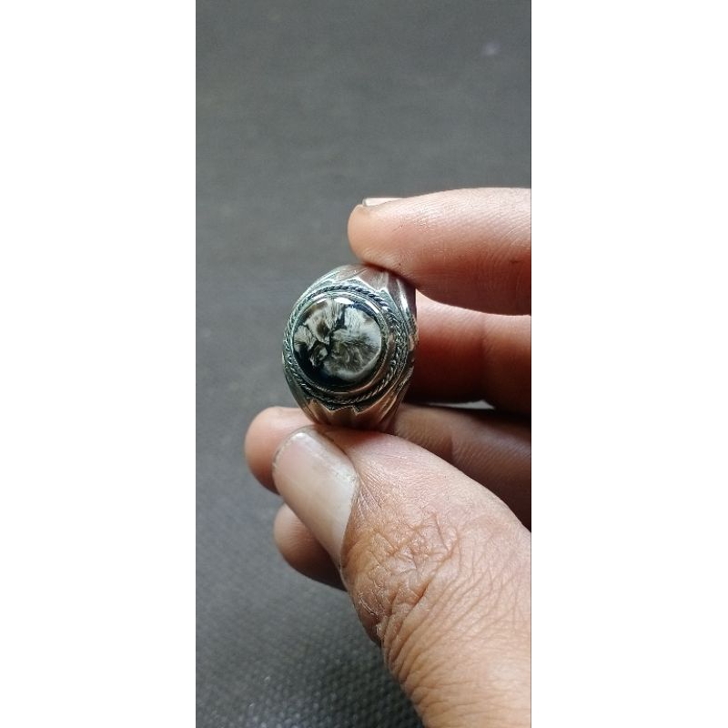 cincin bulu macan lumajang