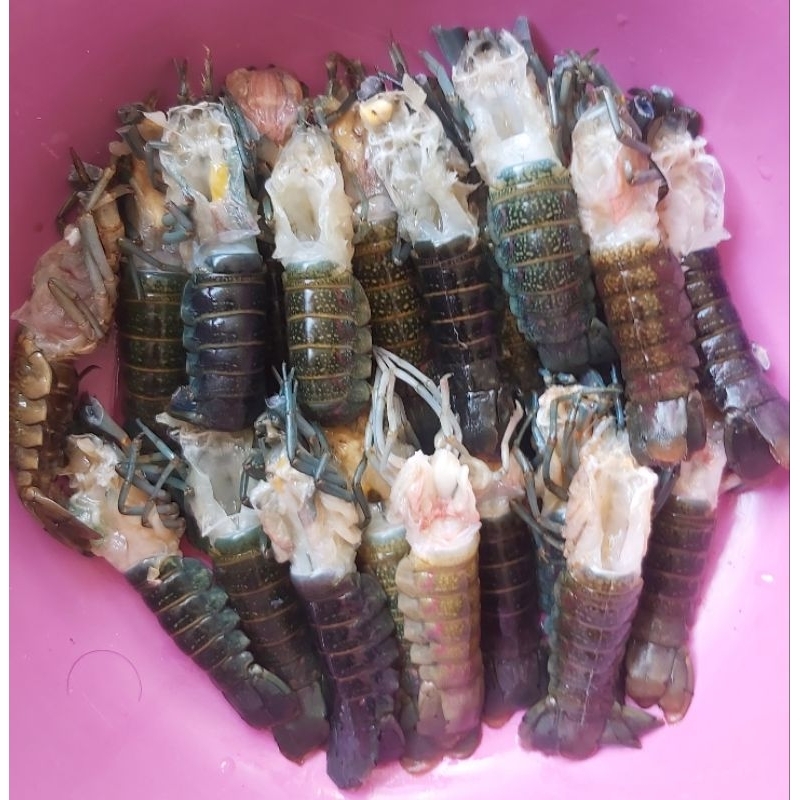 

LOBSTER AIR TAWAR TAIL GRILL 500 GR