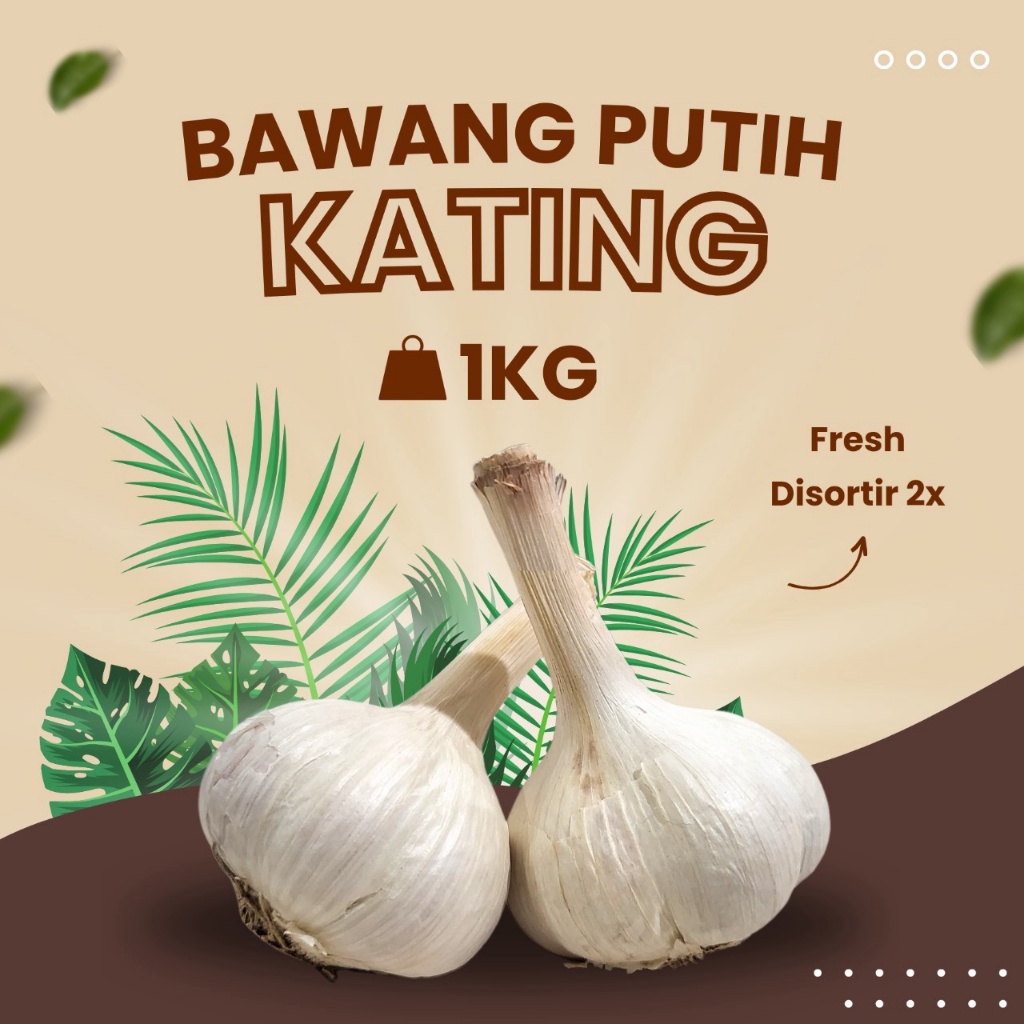 

TERLARIS Bawang Putih Kating 1Kg Premium (tidak ada yang busuk) murah