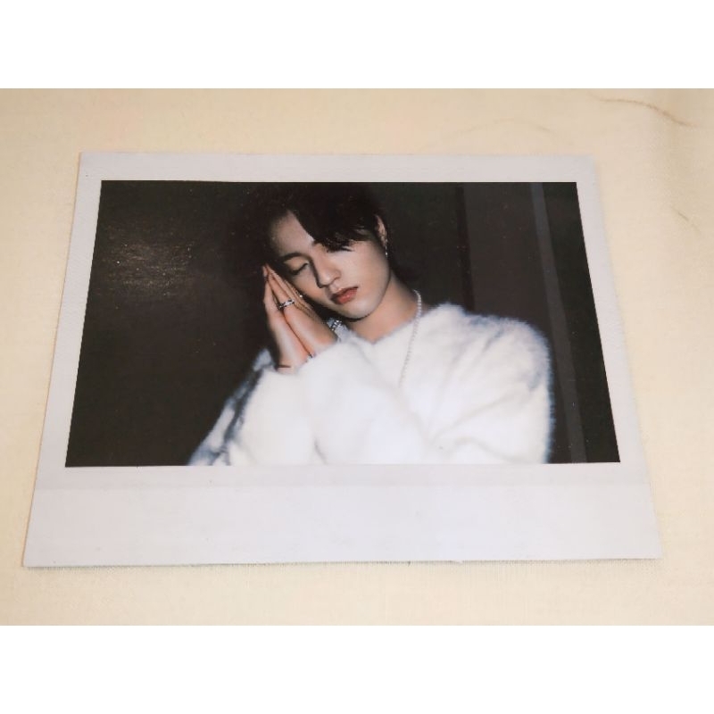 Polaroid night garden treasure