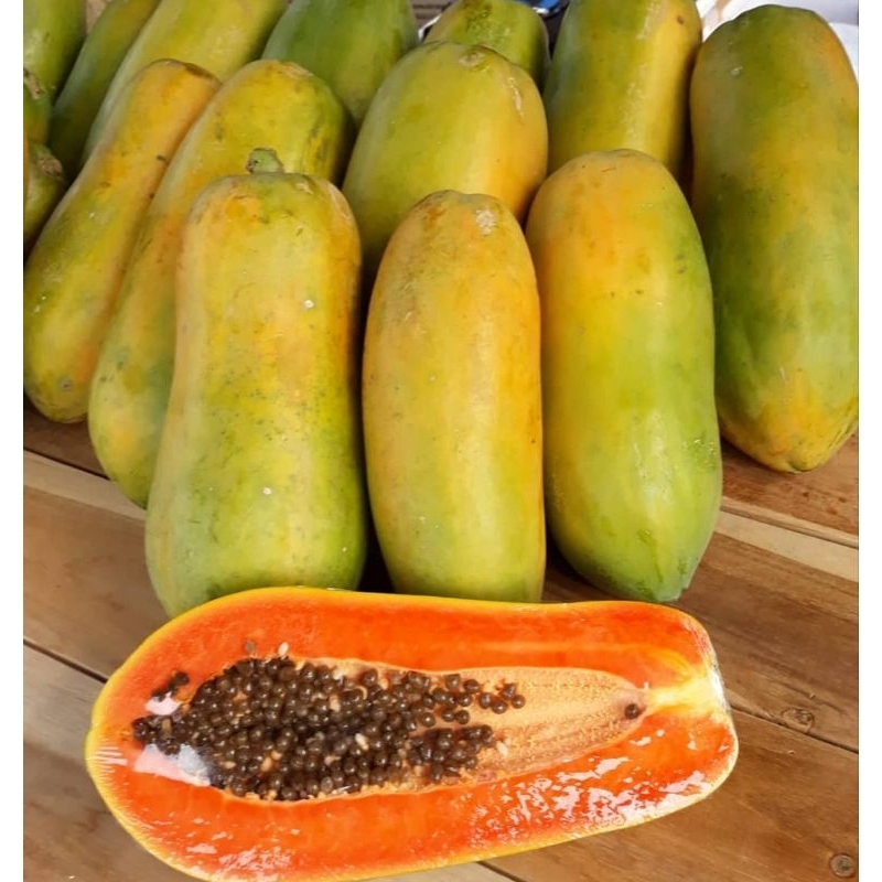 

PEPAYA CALIFORNIA 1 BUAH/PEPAYA CALIFORNIA PREMIUM FRESH MANIS