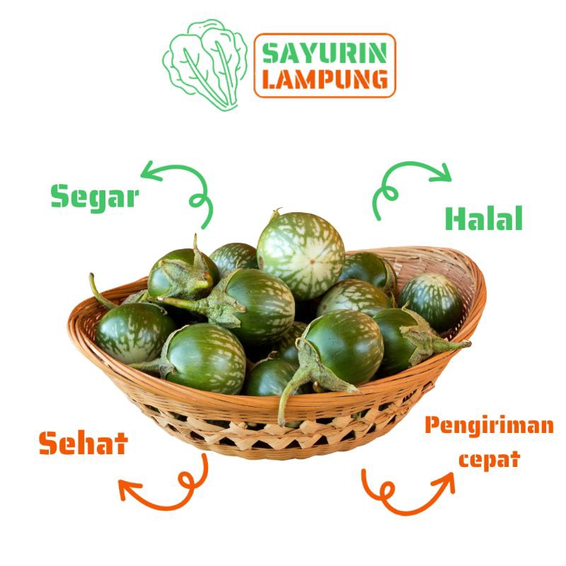 

terong bulat terong hijau segar 250gr - SAYURin LAMPUNG