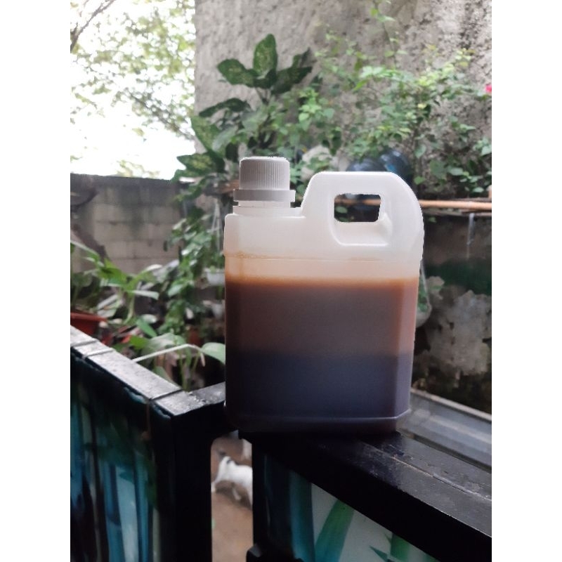 

Madu hutan sialang riau super 1kg madu hutan asli jakarta