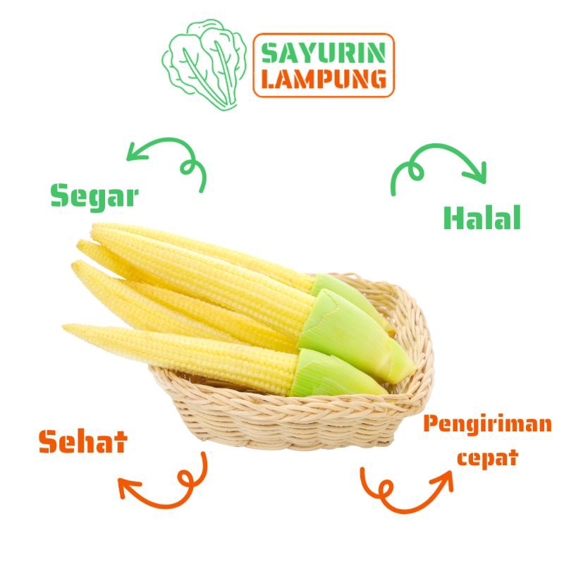 

soleng jagung muda segar 500gr - SAYURin LAMPUNG