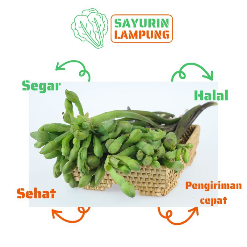 

sayur genjer segar per ikat - SAYURin LAMPUNG