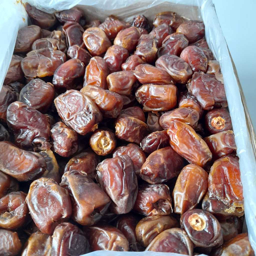 

Kurma Mesir 5kg Mesir Madu Golden Valley Rehana Royal Valley Barari