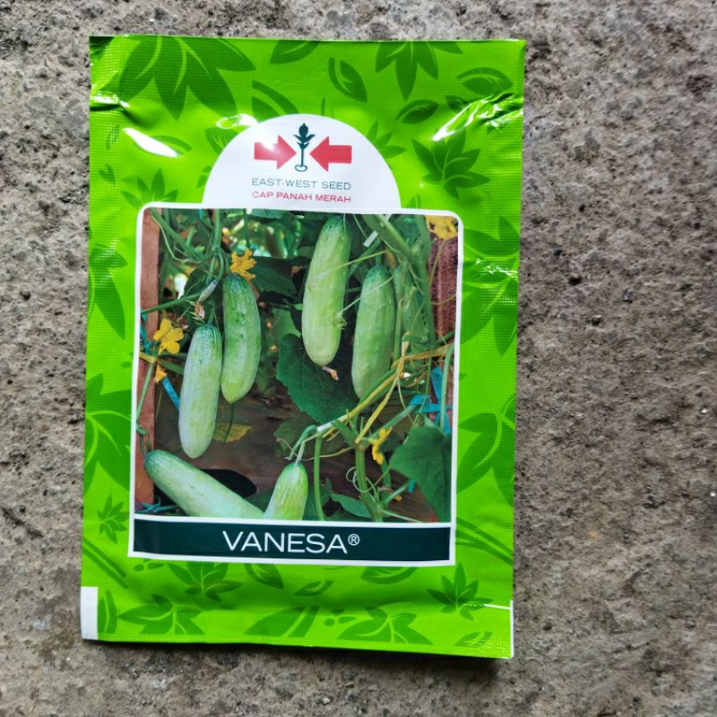 BENIH TIMUN VANESA 20 gram