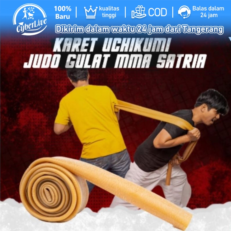 2 Meter Karet Latihan Judo Dan Gulat High Quality Karet Uchikumi
