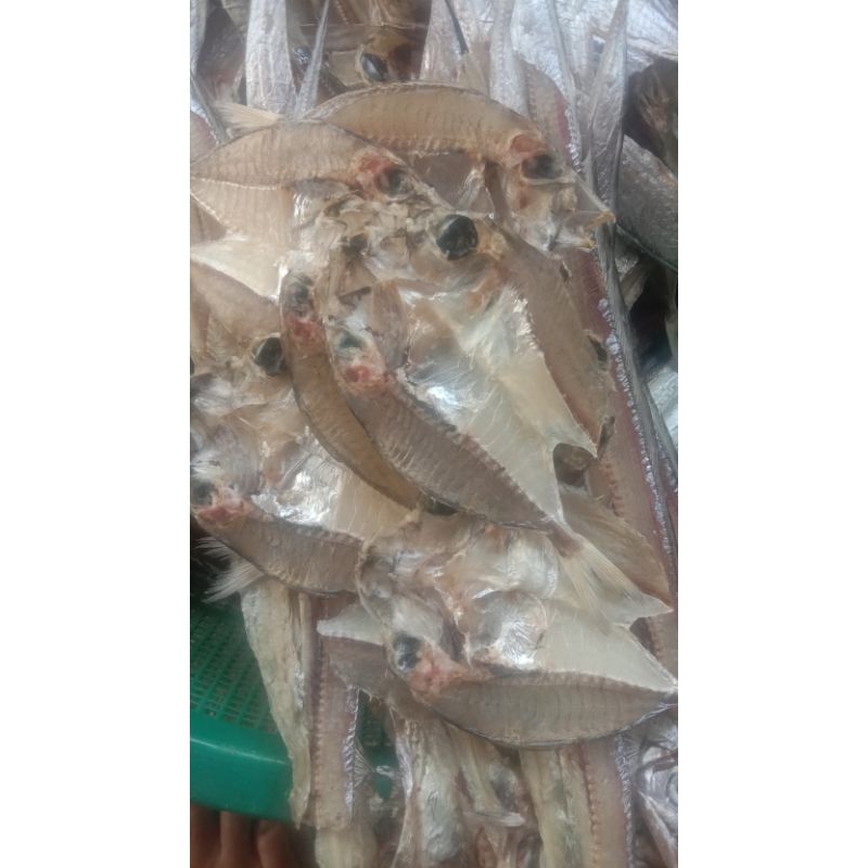 

ikan belah maco padang berat 1kg