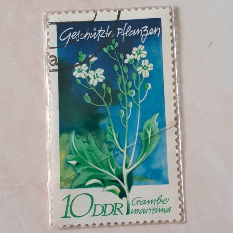 

Perangko Jerman Protected Native Plants (1970) (Sea Kale (Crambe maritima)) Tahun 1970
