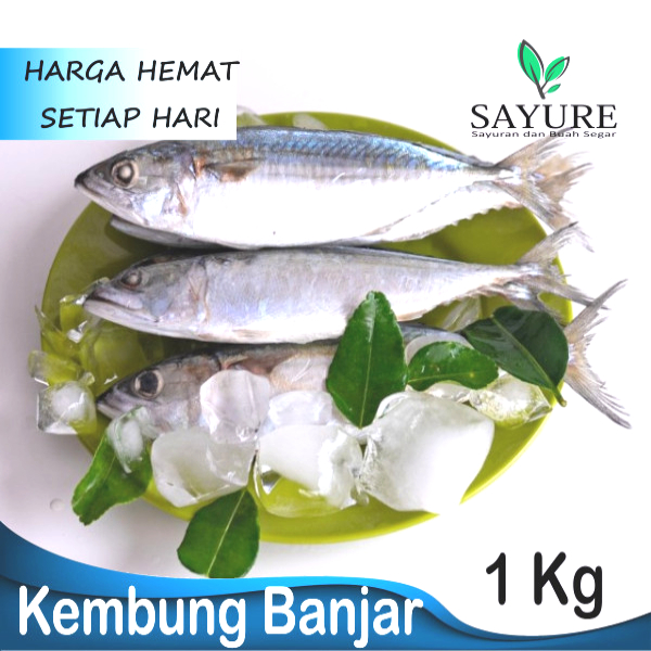 

IKAN KEMBUNG BANJAR 1 KG