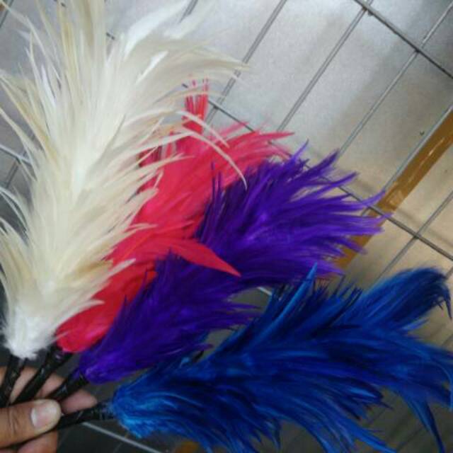 Bulu Topi Drumband