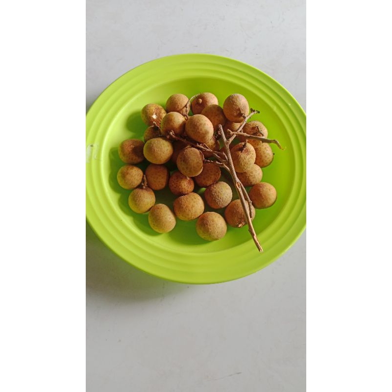 BUAH KELENGKENG 1/4 KG FRES