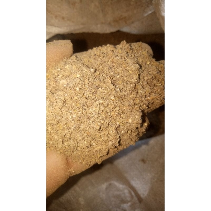 Tepung Ikan Tuna & Tongkol buat pakan Ternak Protein 60 Up