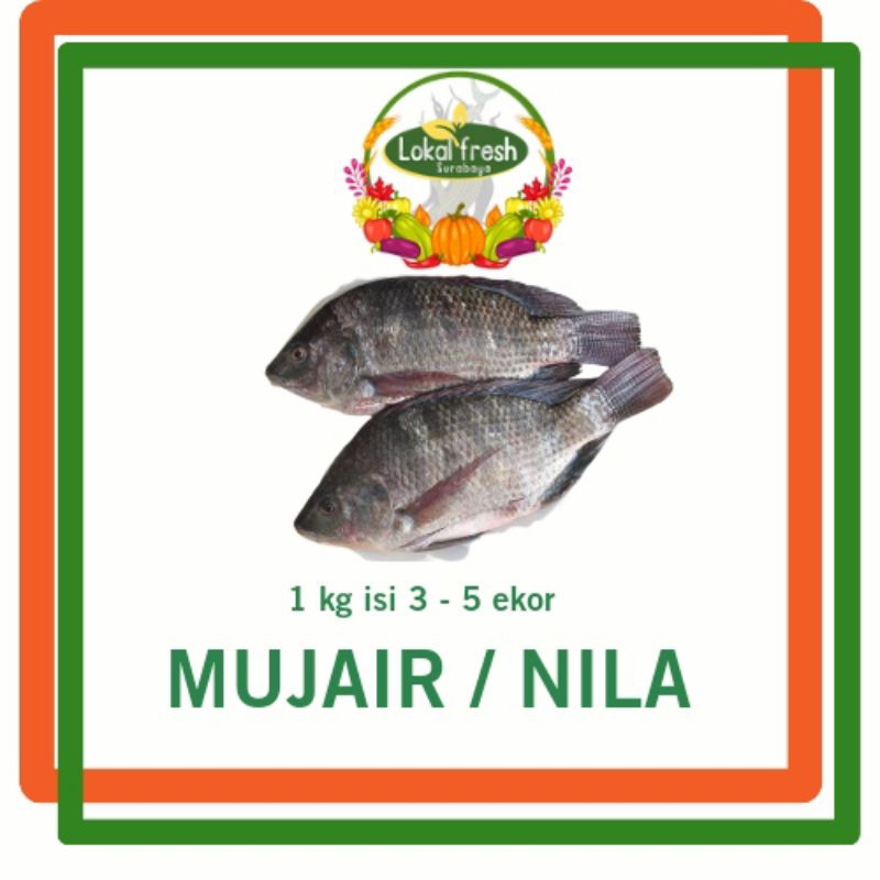 

LOKAL FRESH | MUJAIR / NILA