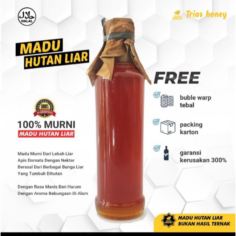 

Madu Hutan Baduy Murni 100%..Madu Tawon Gung asli Tanpa Campuran /Madu Mentah/ Madu Curah