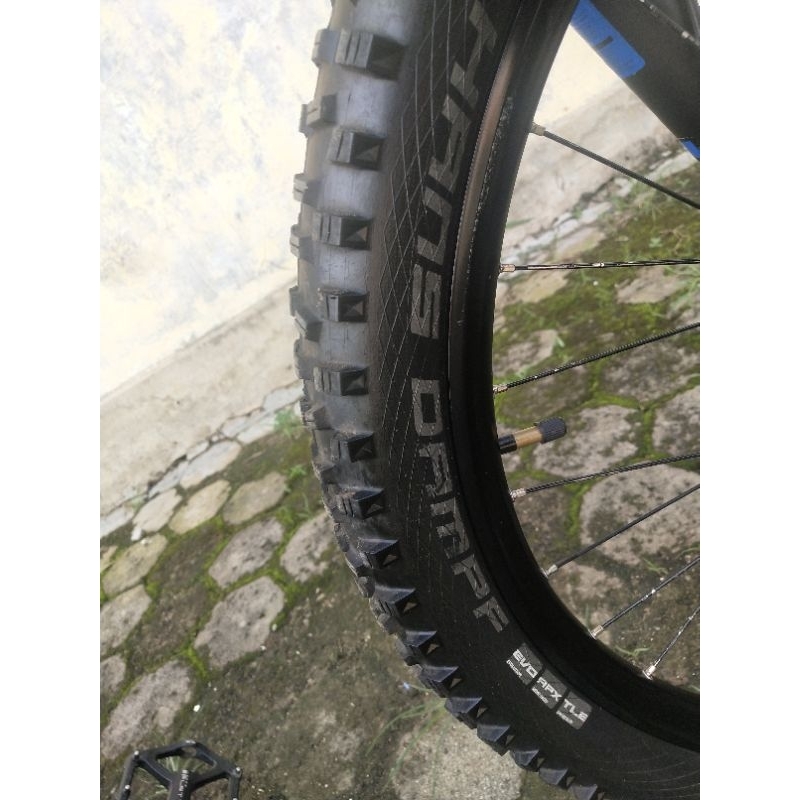 polygon D7 th 2021 second