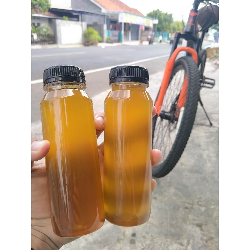

Madu Asli/0riginal - Madu Kuningan Asli Madu Hutan 100 % Original