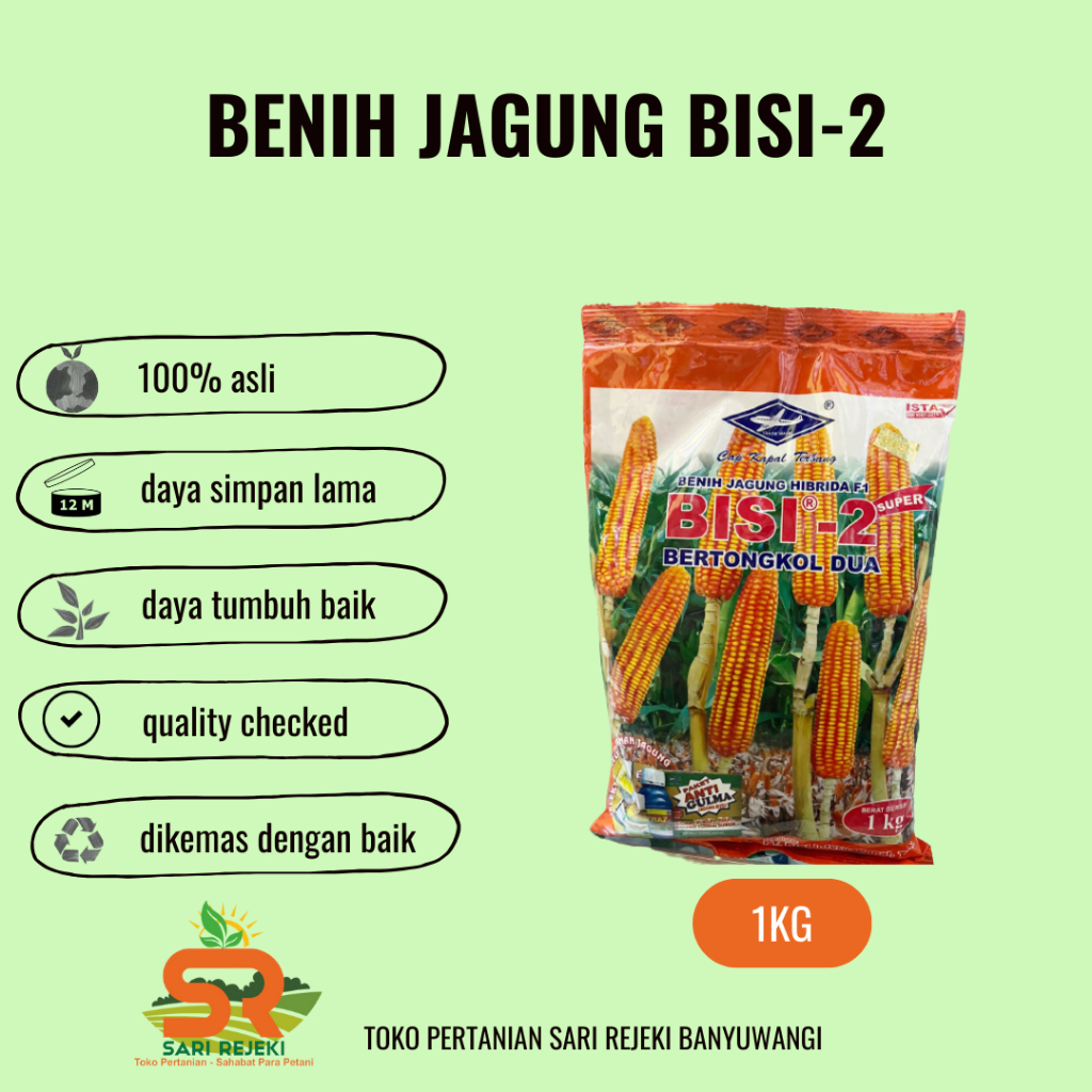 BENIH JAGUNG BISI 2 1KG