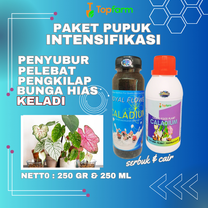 Pupuk Tanaman Hias Keladi / Pupuk Untuk Tanaman Keladi / Pupuk Penyubur Bunga Keladi / Pupuk Bunga K