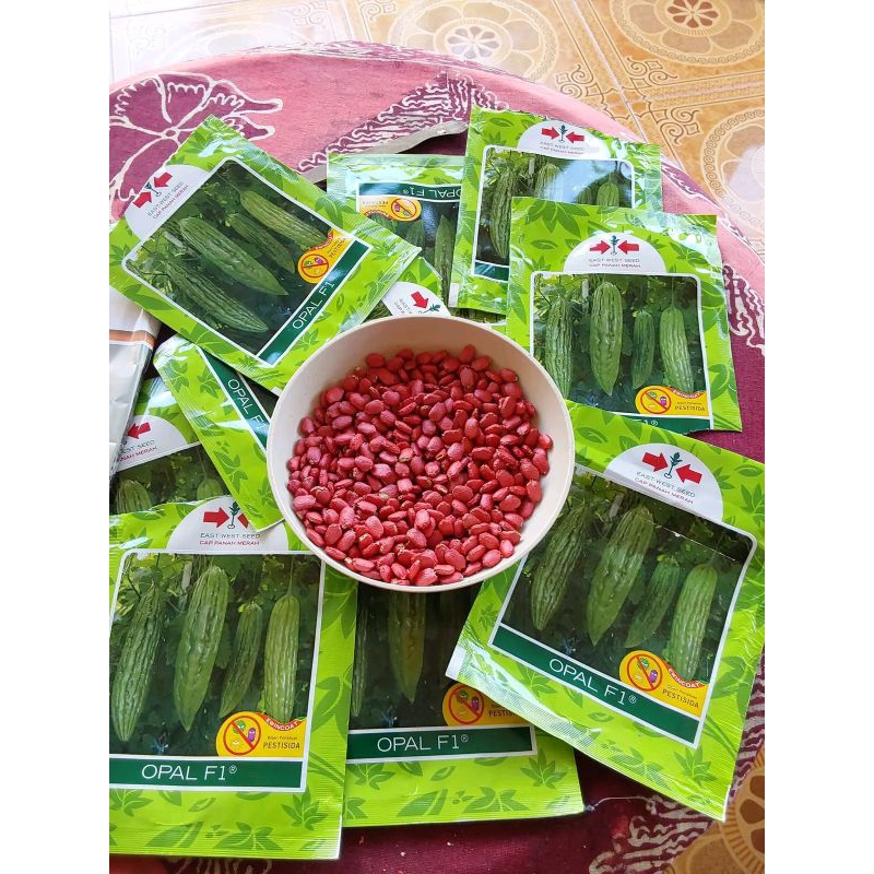 

Benih Paria Pare Unggul Jumbo Opal F1, Tahan Kriting Cuaca Ekstrim hujan Kemarau Panen. Isi 50 Butir dan 250 Butir (CATATAN : MINIMAL ORDER 5 PCS) Berhadiah langsung kaos/topi selama persediaan ada, Kadaluarsa. 2026 Terbaru - Cap Panah Merah Original